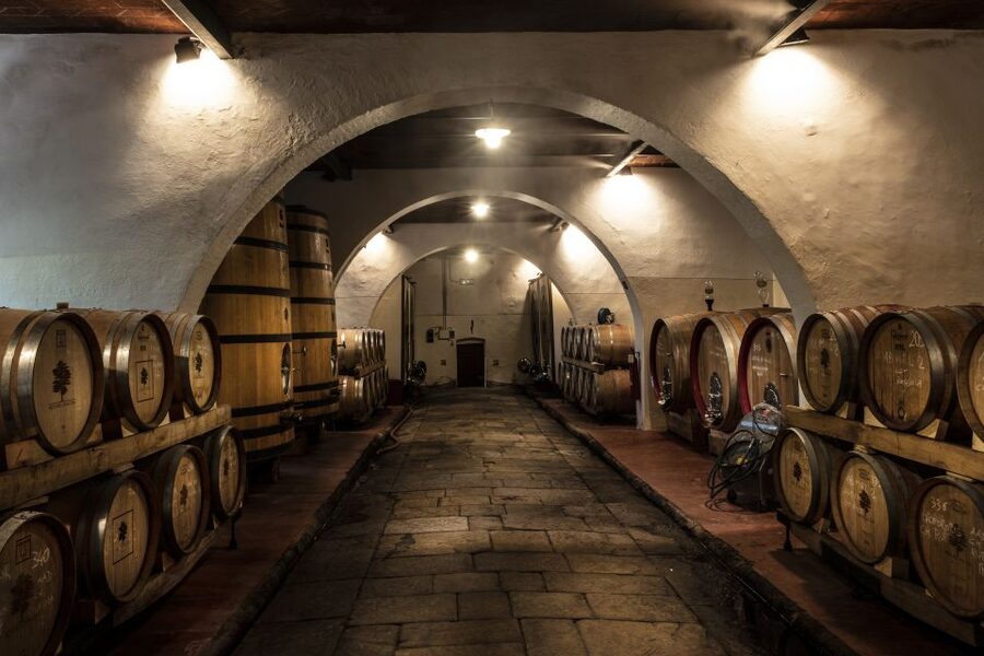 Exclusive Chianti Rufina Half-Day with lunch from Florence - Chianti Rufina, the Altitude-Driven Side of Chianti