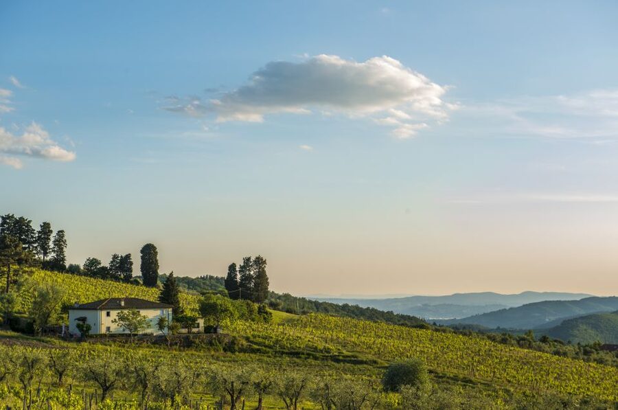 Exclusive Chianti Rufina Half-Day with lunch from Florence - Stop 1: Pickup in Florence, Then Straight to the Wine Country Mood