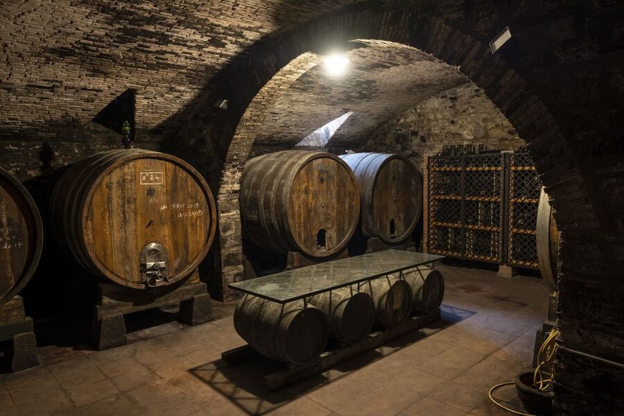Exclusive Chianti Rufina Half-Day with lunch from Florence - Stop 2: Tenuta di Grignano, Guided Tasting With Regional Focus