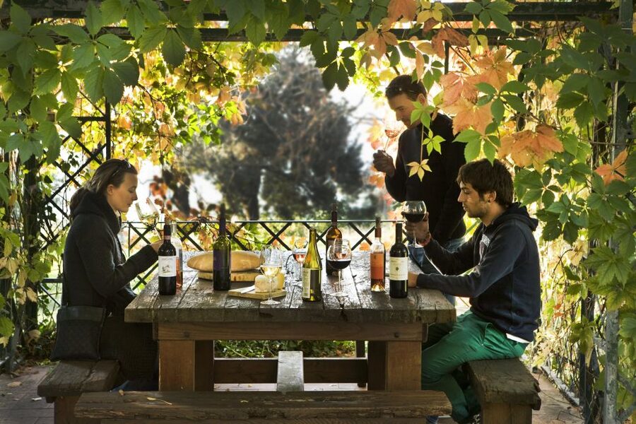 Exclusive Chianti Rufina Half-Day with lunch from Florence - Stop 3: Tenuta Bossi, Lunch With km 0 Products Plus More Tastings