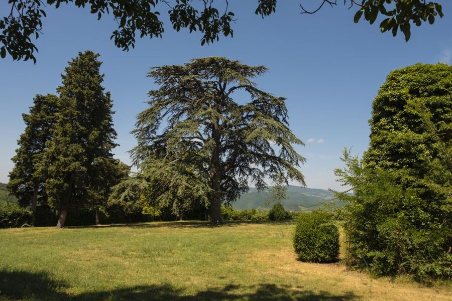 Exclusive Chianti Rufina Half-Day with lunch from Florence - The Value Math: What You Get for $450.56 Per Person