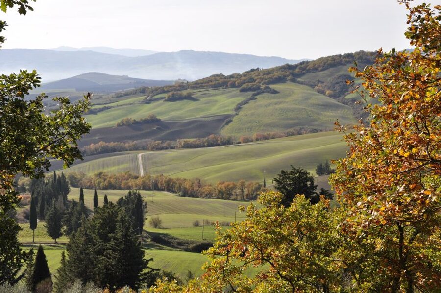 Exclusive Val d’Orcia Full-Day Wine Tour from Florence - Leaving Florence: A Private Day That Starts with Comfort