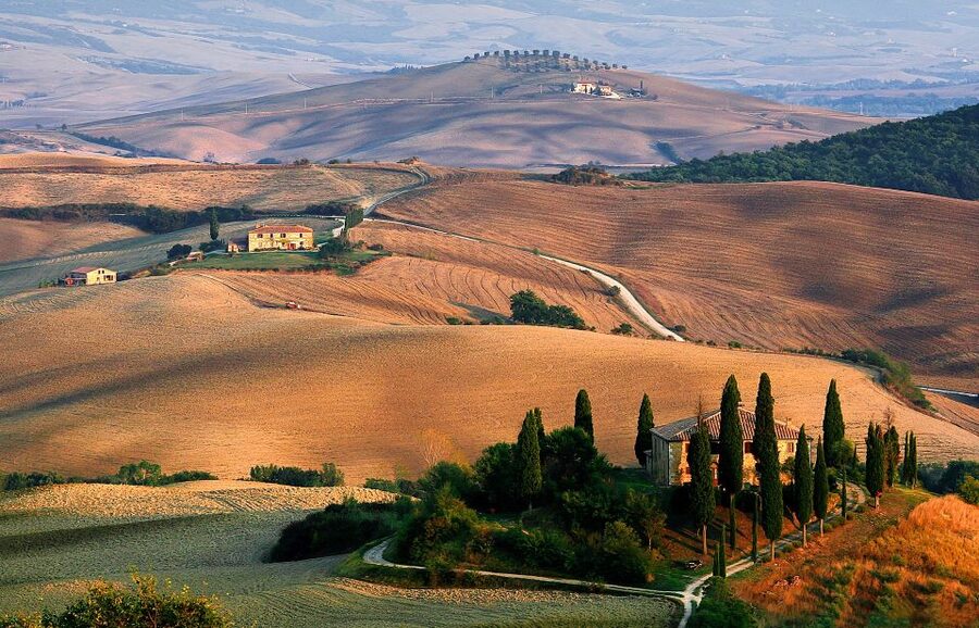 Exclusive Val d’Orcia Full-Day Wine Tour from Florence - Montepulciano: 3 Hours to Walk, Taste, and Think Like a Local