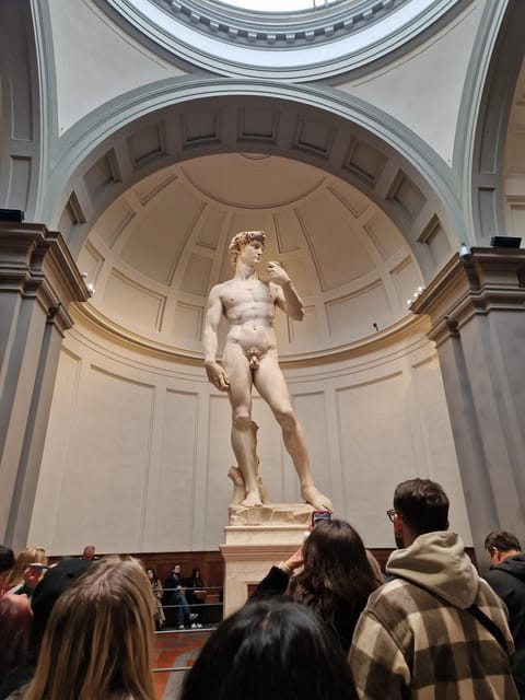 Explore Accademia Gallery on Free Museum Day - Meeting at Florence Tours and making museum day stress-free