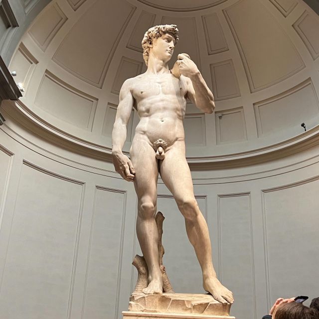 Florence: Accademia Gallery Guided Tour and Priority Entry - Price and what you really get for $81 per person