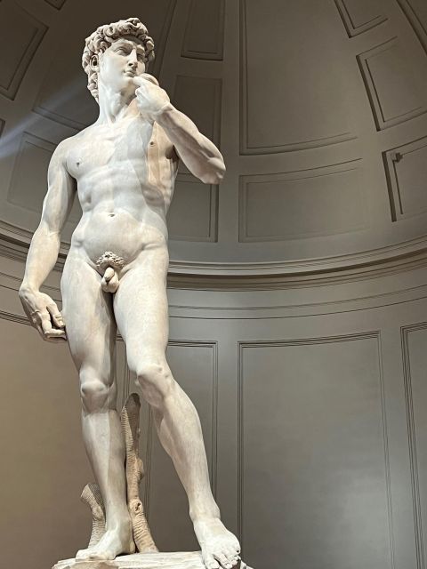 Florence: Accademia Gallery Guided Tour and Priority Entry - Where to meet near Via Ricasoli 109 (and how not to lose your group)