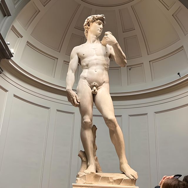 Florence: Accademia Reserved Ticket & Michelangelo's David - Why Accademia Is Worth Your Time (and Your Reserved Line)