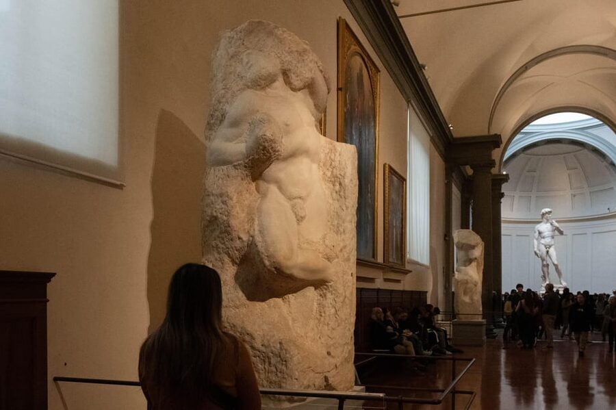Florence: Accademia Ticket & Audio Guided Tour with Host - Who this tour suits best