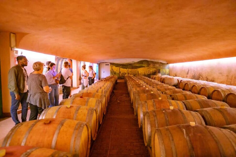 Florence: Chianti E-Bike Tour with Lunch & Two Wine Tastings - Smart tips to make the day smoother on your body and your bike