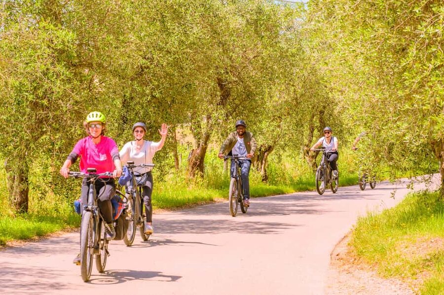 Florence: Chianti E-Bike Tour with Lunch & Two Wine Tastings - How long the day takes, and why the pacing is built for small groups