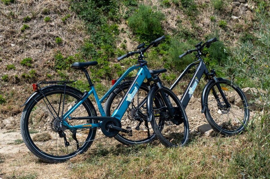 Florence: Chianti E-Bike Tour with Wine Tasting and Lunch - Biological Wine Tasting: Organic Wine With a Rider’s Context