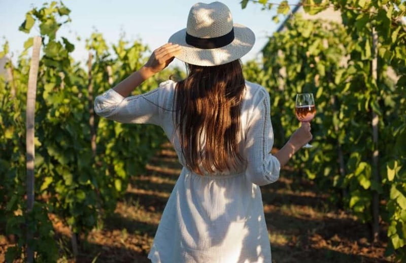 Florence: Chianti Vineyards Tour with Wine Tasting & Dinner - Key Points That Matter (Before You Go)