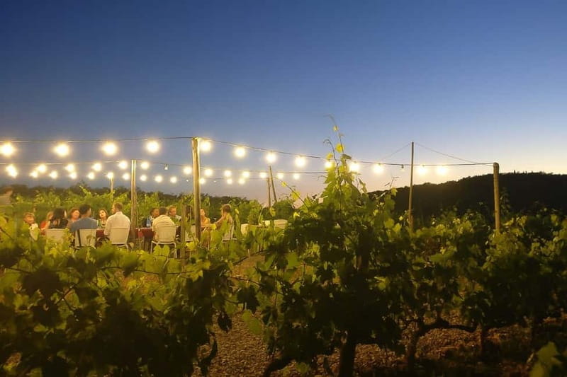 Florence: Chianti Vineyards Tour with Wine Tasting & Dinner - What To Wear And Bring For A Vineyard Night