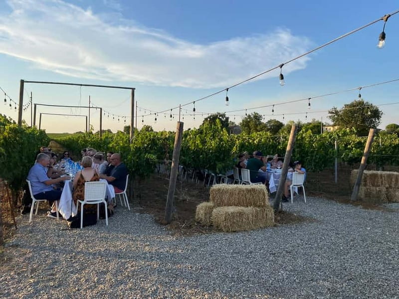 Florence: Chianti Vineyards Tour with Wine Tasting & Dinner - Wine Tastings: How To Get More Out Of Each Glass