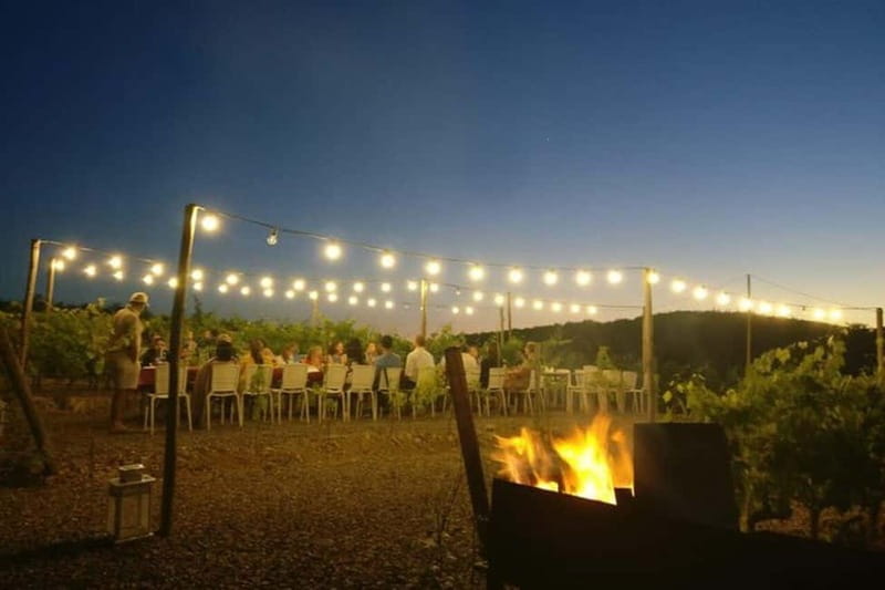 Florence: Chianti Vineyards Tour with Wine Tasting & Dinner - Weather And The Indoor Backup Plan