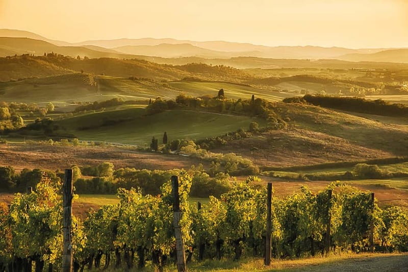 Florence: Chianti Vineyards Tour with Wine Tasting & Dinner - Dietary Needs, Stairs, And Who This Tour Fits Best
