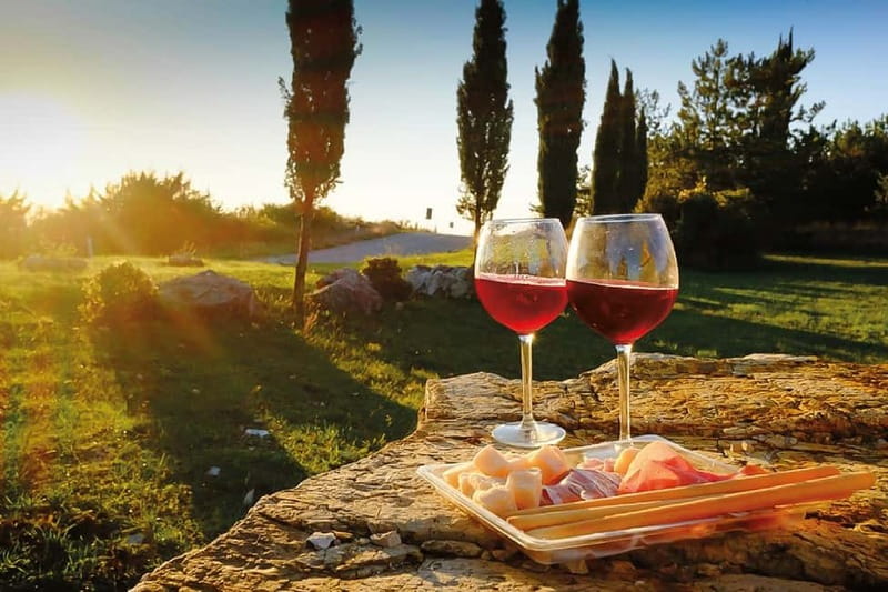 Florence: Chianti Vineyards Tour with Wine Tasting & Dinner - Your 8-Hour Rhythm, What Happens Along the Way