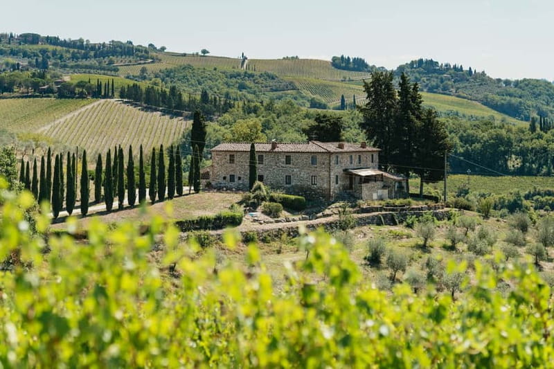 Florence: Chianti Wineries Tour with Wine Tasting - Stop 2 in the Chianti Hills, more vineyards, more stories