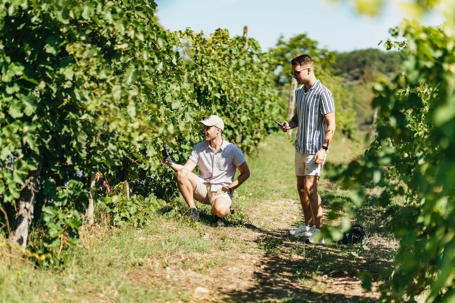 Florence: Chianti Wineries Tour with Wine Tasting - FAQ