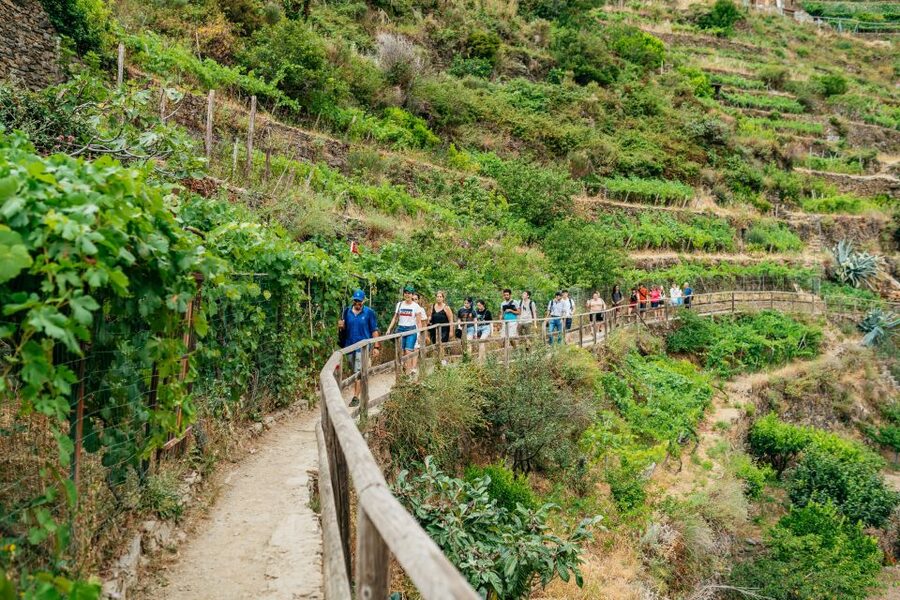 Florence: Cinque Terre Day Trip with Optional Hike - Key things I’d circle before you book