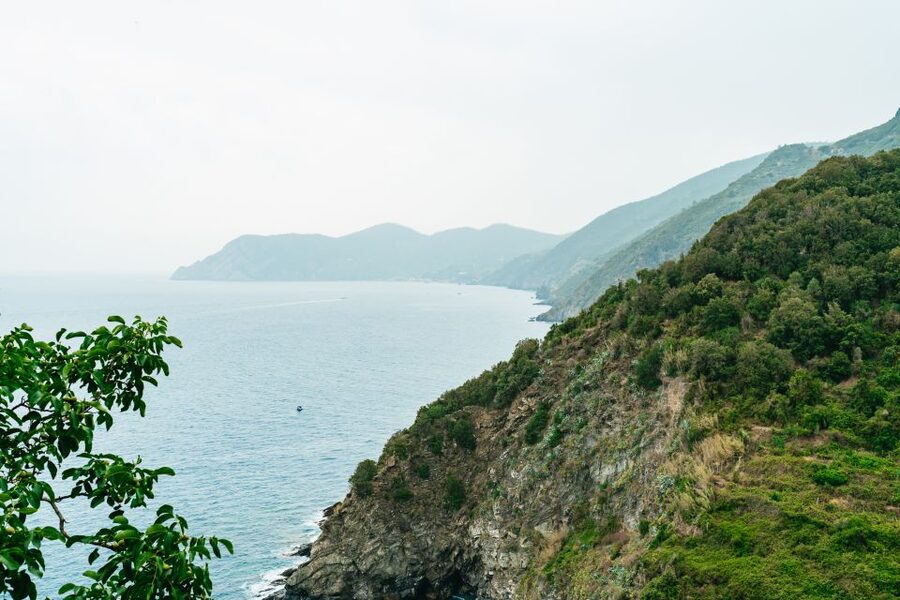 Florence: Cinque Terre Day Trip with Optional Hike - Long Day Reality: Walking, Steps, and What to Bring