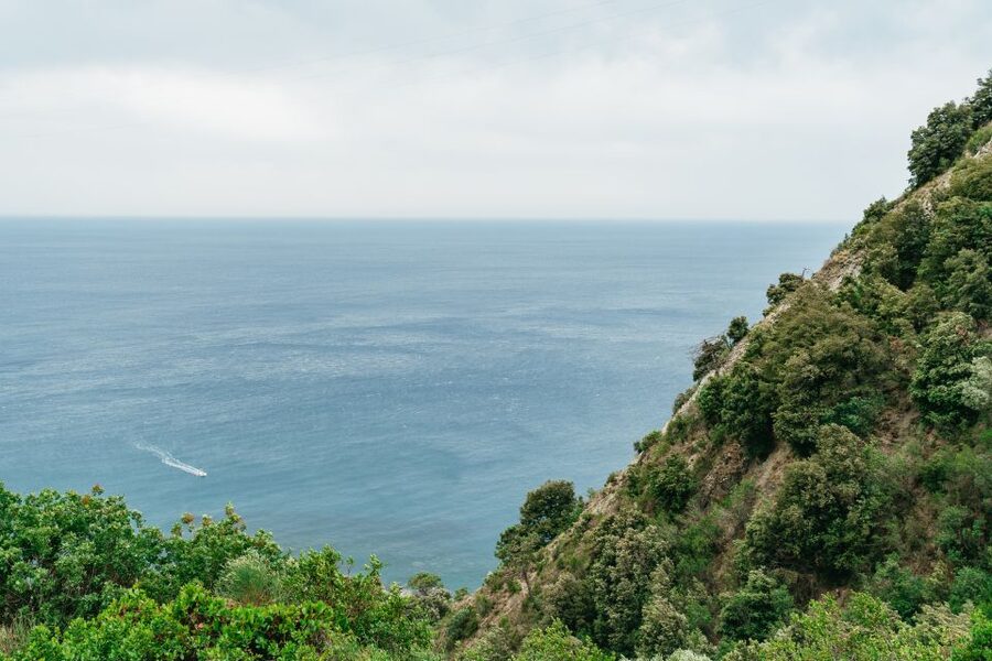 Florence: Cinque Terre Day Trip with Optional Hike - Price and Value: What $152.93 Covers