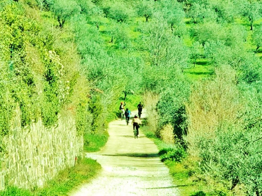 Florence: Country Ebike tour + Wine tasting in organic farm - Views and return ride: back to Florence without the stress
