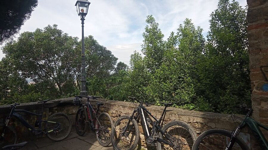 Florence: Country Ebike tour + Wine tasting in organic farm - Price value: why $168.79 can make sense here