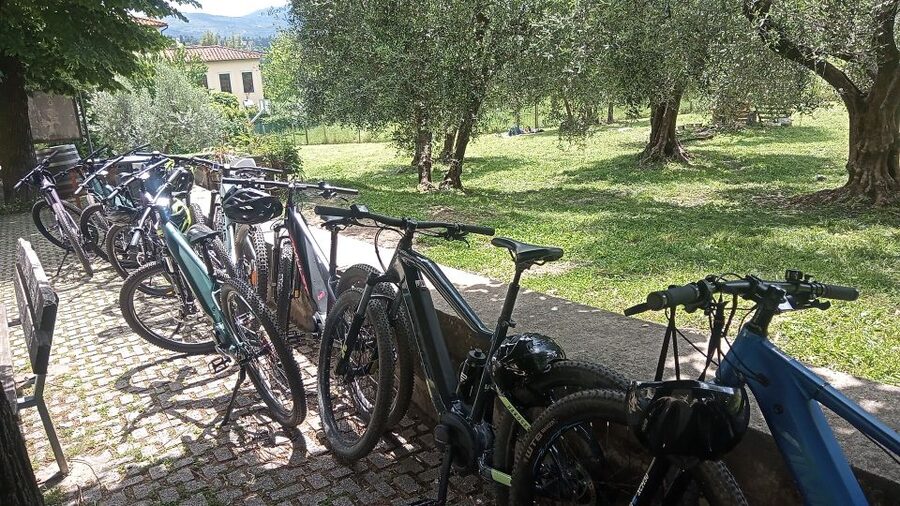Florence: Country Ebike tour + Wine tasting in organic farm - Who this tour suits best (and who should think twice)