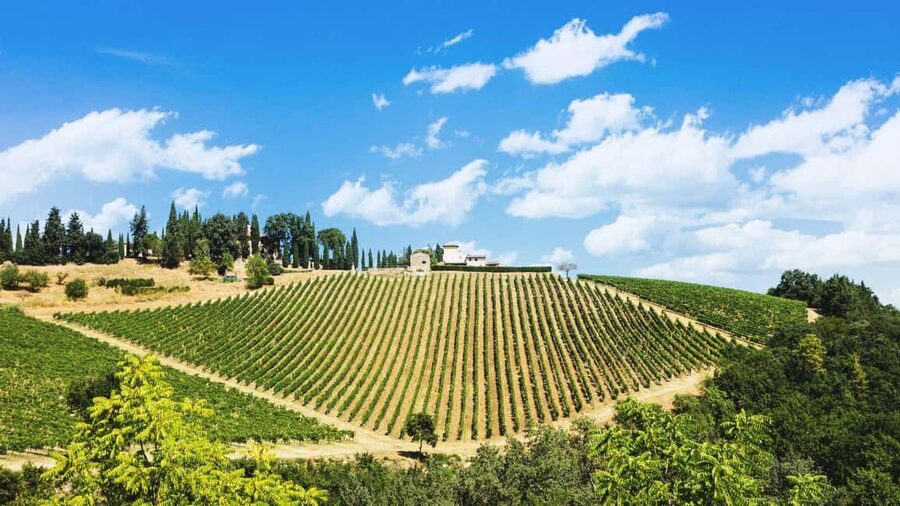Florence Countryside 2.5h Premium E-Bike Tour + Photo Shoot - The included e-bike kit, safety rules, and what it means for your comfort