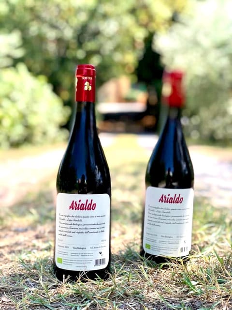 Florence: Countryside Tour with Wine Tasting & Pasta Class - The countryside walk through vineyards and botanical garden