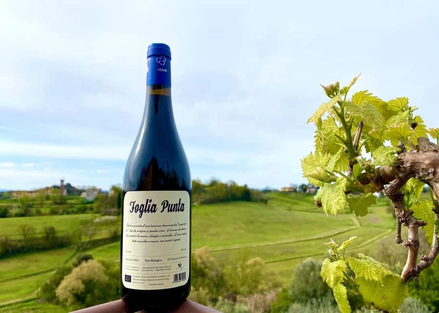 Florence: Countryside Tour with Wine Tasting & Pasta Class - Small details that make the day easier