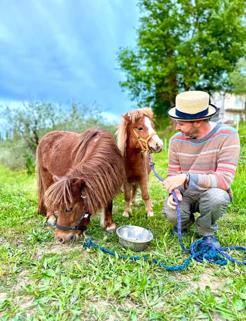 Florence: Countryside Tour with Wine Tasting & Pasta Class - Inside the cellar: 5 organic wines, olive oil, and Vin Santo