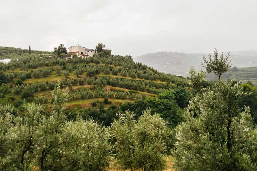 Florence: Countryside Vintage Fiat 500 Driving Tour - Why This Day in Tuscany Starts Feeling Special From Minute One