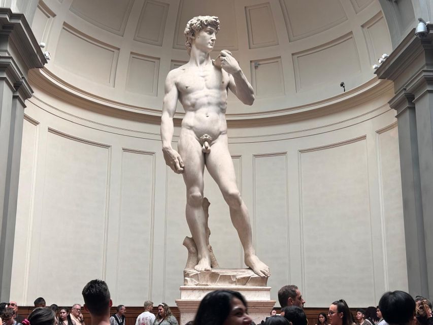 Florence: David's Accademia timed Ticket with Audio APP - Medici Musical Instruments and the Stradivarius Connection