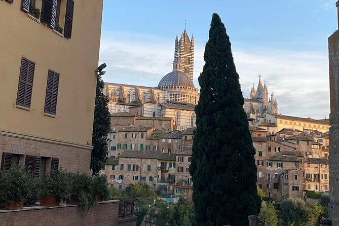 Florence: Day Trip with Free Time in San Gimignano and Siena - What to Bring, and the Stuff That Can Trip You Up