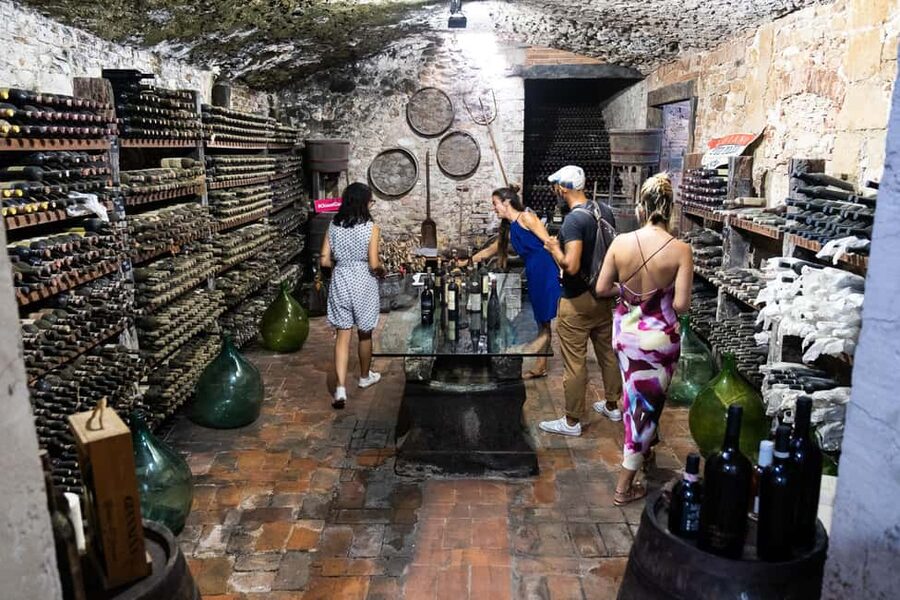 Florence: Exclusive Chianti Wine Tour at 3 Wineries & Lunch - Taking Wine Home: Purchases and Shipping Options