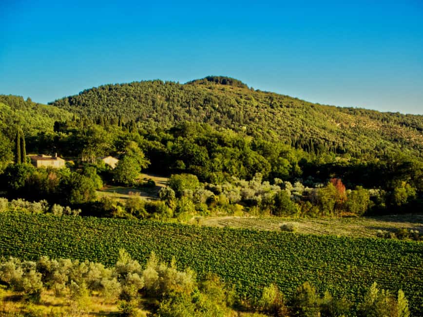 Florence: Fiesole E-Bike Tour with Olive Oil Tasting - Returning to Florence with a Fresh View from the River Ride