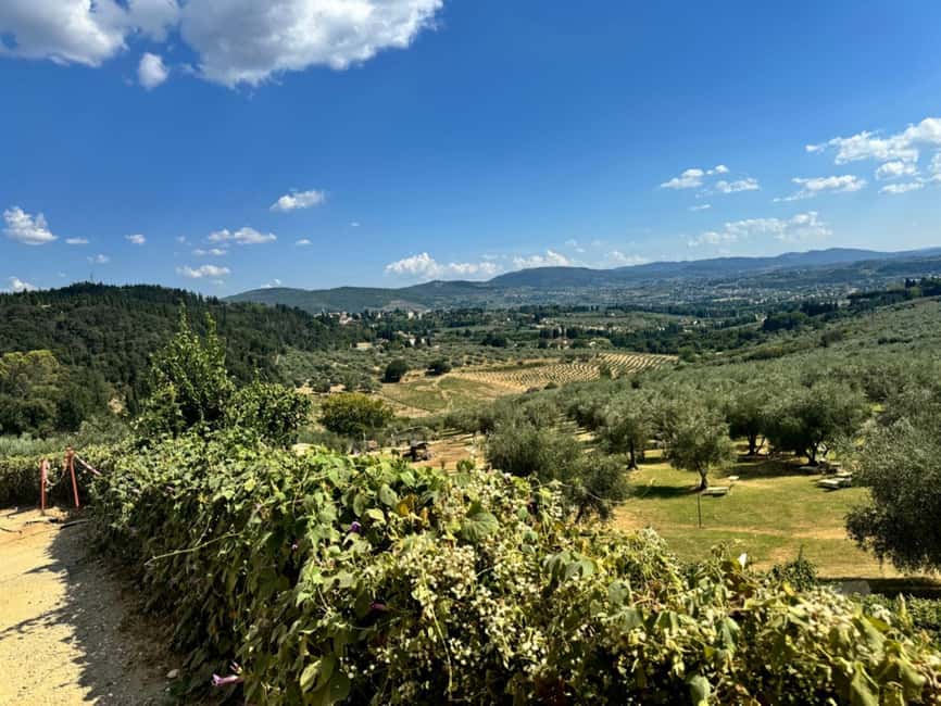 Florence: Fiesole E-Bike Tour with Olive Oil Tasting - Who This Tour Fits Best