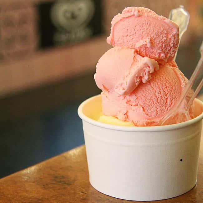 Florence: Food Tour with Wine and Gelato - Who should book this Florence food tour