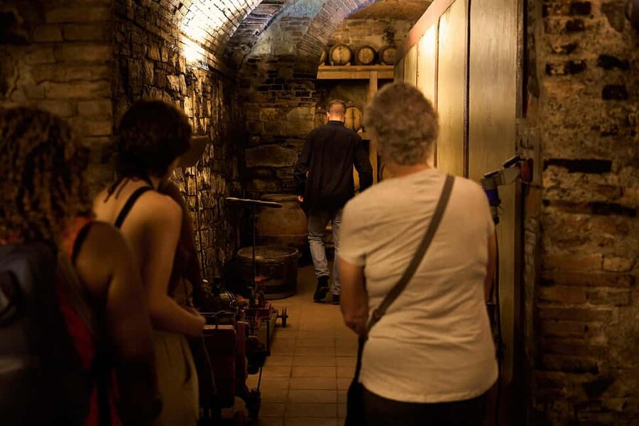 Florence: Great Chianti Wine and Olive Oil Trail with Lunch - The Mercedes Ride With Wi-Fi: Comfort That Keeps the Day Enjoyable