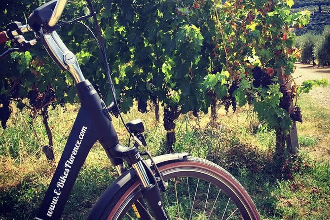 Florence: Guided Bike Tour to Discover the Secrets - Why the Guide Matters More Than the Bike