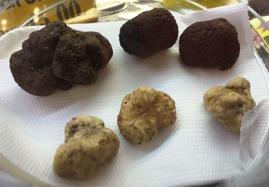 Florence: Guided Food Tour with Fiorentina Steak and Wine - Guides make it feel local, not staged