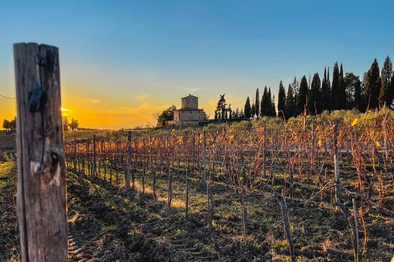 Florence: Hiking Tuscany & Chianti wine 3 wineries and lunch - A Quick Look at Value: What You Get for $239.03