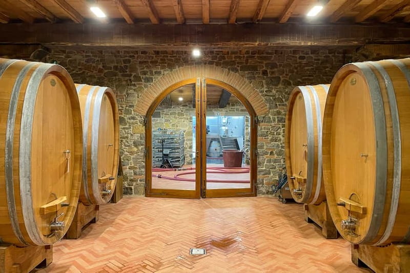 Florence: Hiking Tuscany & Chianti wine 3 wineries and lunch - From Panzano to Conca d’Oro: The First Walk That Sets the Tone