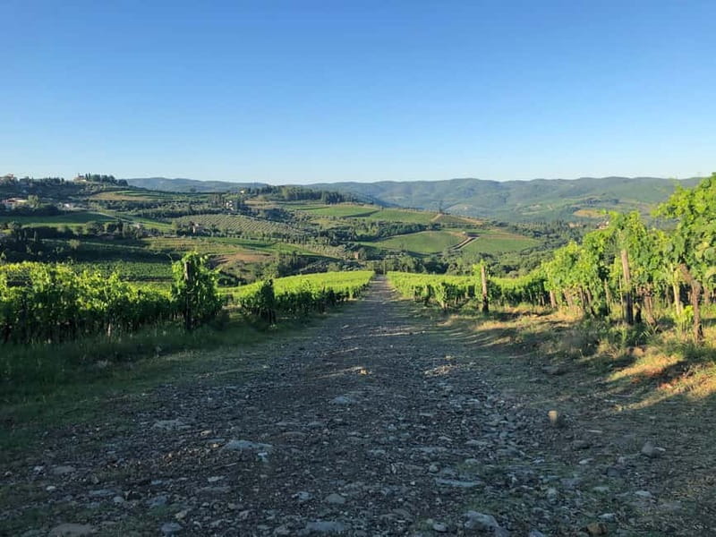 Florence: Hiking Tuscany & Chianti wine 3 wineries and lunch - Stop 1: A 12th-Century Family Winery and a Medieval Cellar Tour