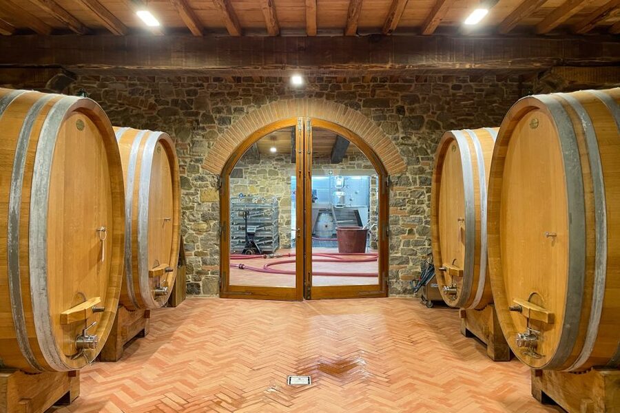 Florence: Hiking Tuscany & Chianti wine 3 wineries and lunch - What’s Included in the Taste Tour: Wines, Olive Oil, and Food