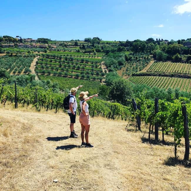 Florence: Hiking Tuscany & Chianti wine 3 wineries and lunch - Meeting in Florence and Getting to the Vines