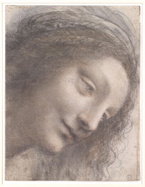 Florence: Leonardo Drawings - Leonardian Drawing in a Real Florence Studio, Geko Art Studio