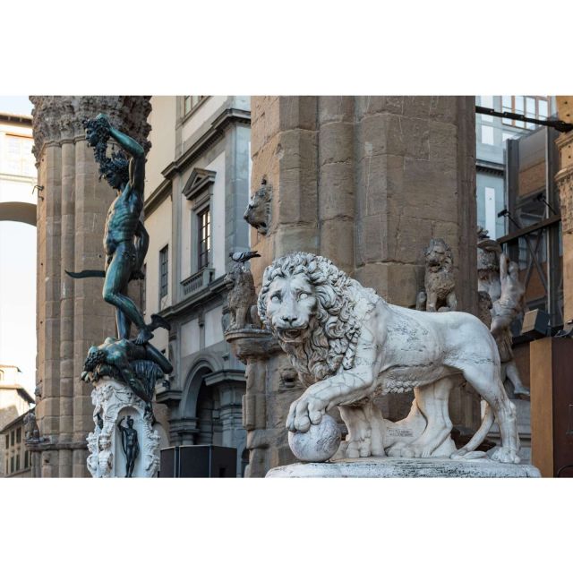 Florence: Medici Family Guided Walking Tour - Palazzo Pitti: the Medici residence that closes the arc